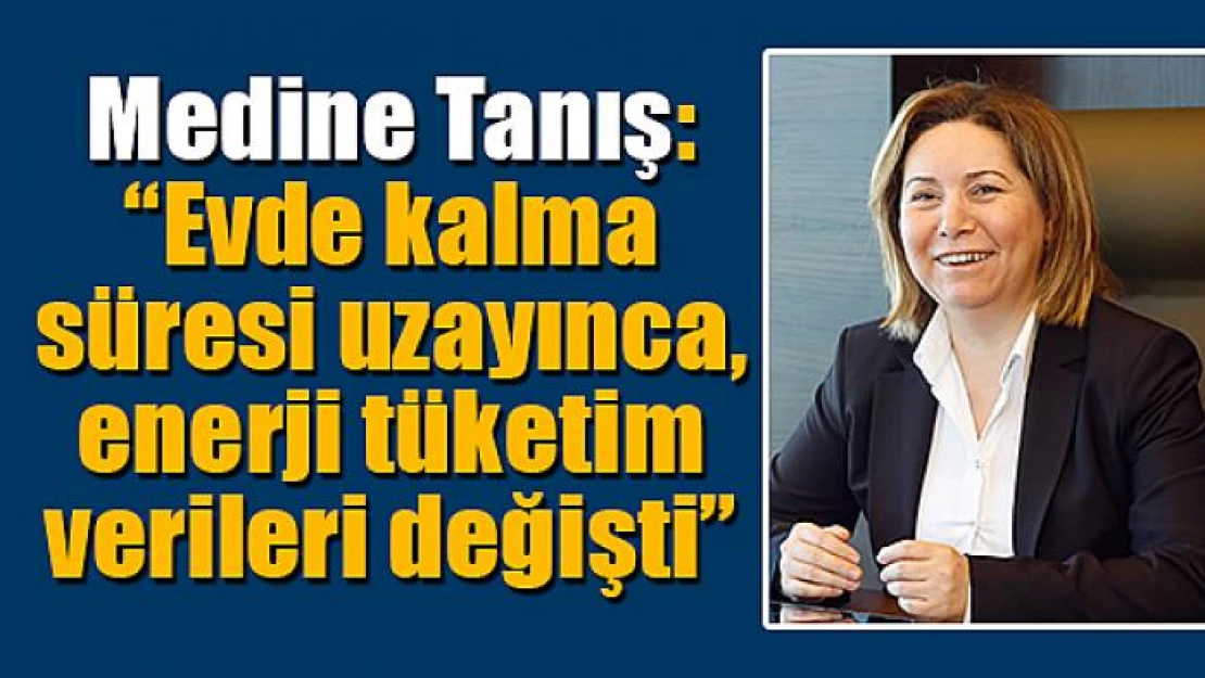 Tanış: 'Evde kalma süresi uzayınca, enerji tüketim verileri değişti'