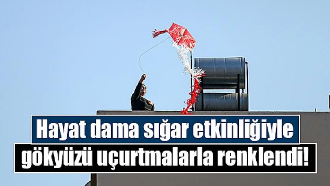 Hayat dama sığar etkinliğiyle gökyüzü uçurtmalarla renklendi!