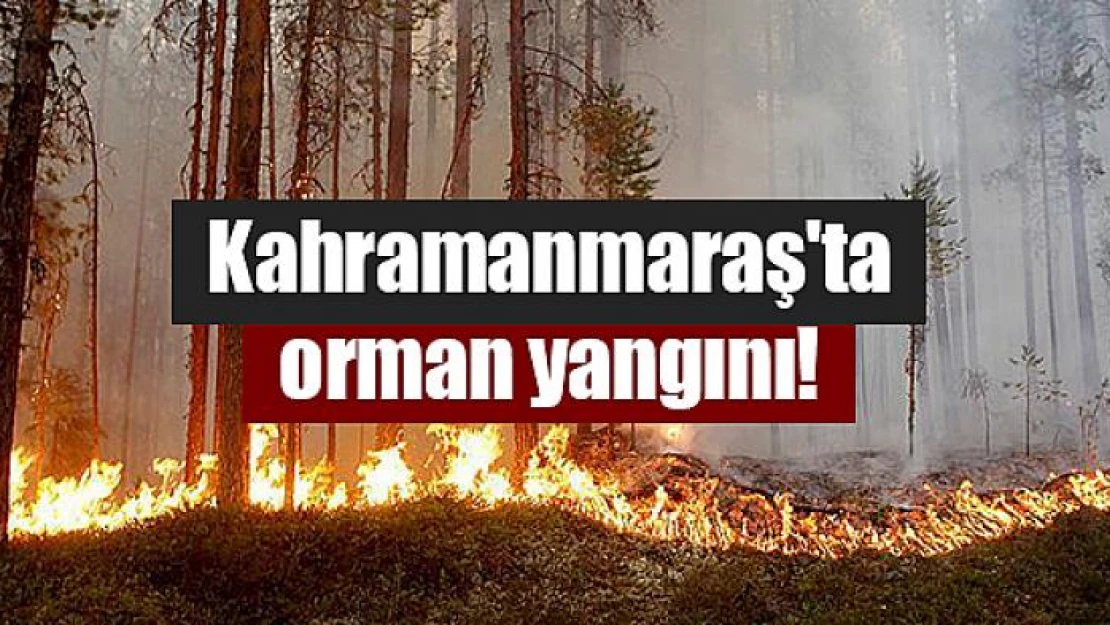 Kahramanmaraş'ta orman yangını!