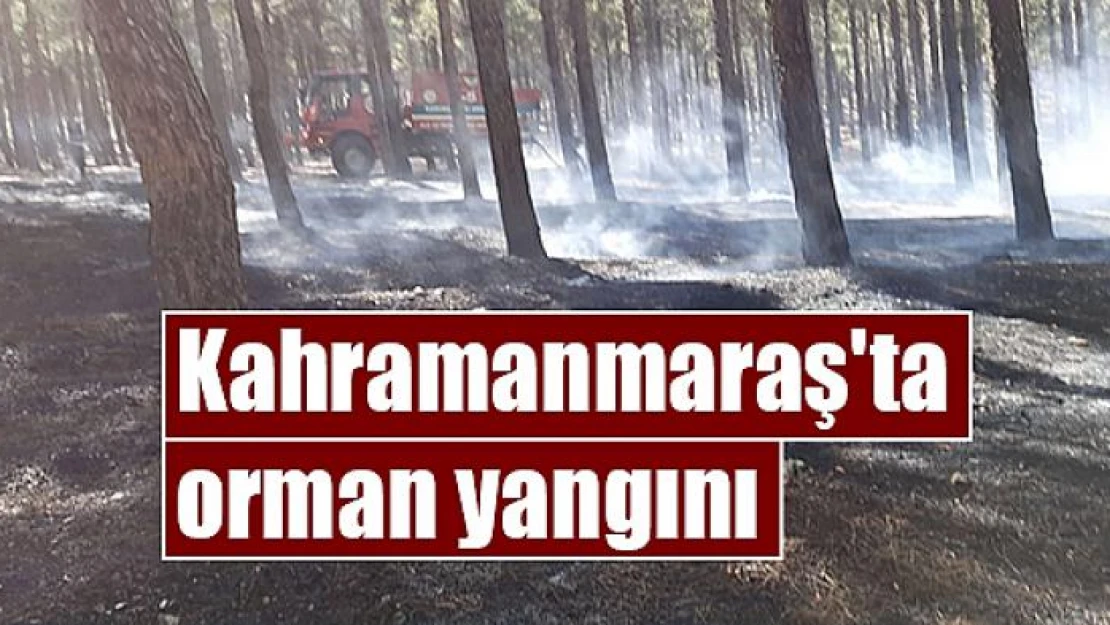 Kahramanmaraş'ta orman yangını