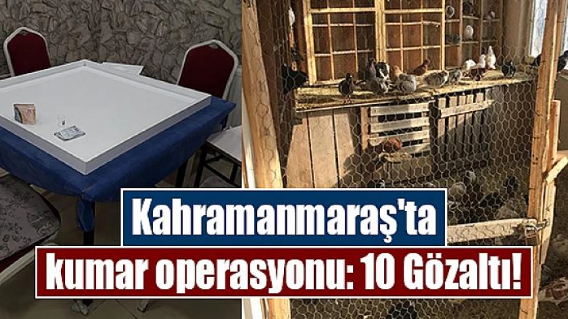 Kahramanmaraş'ta kumar operasyonu: 10 Gözaltı!