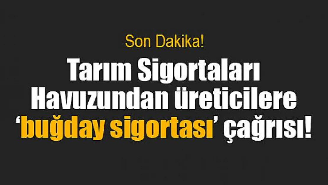 Tarım Sigortaları Havuzundan üreticilere 'buğday sigortası' çağrısı!