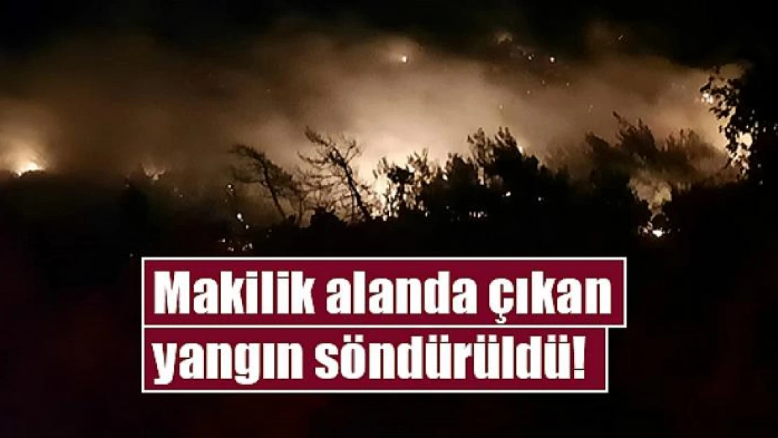 Makilik alanda çıkan yangın söndürüldü