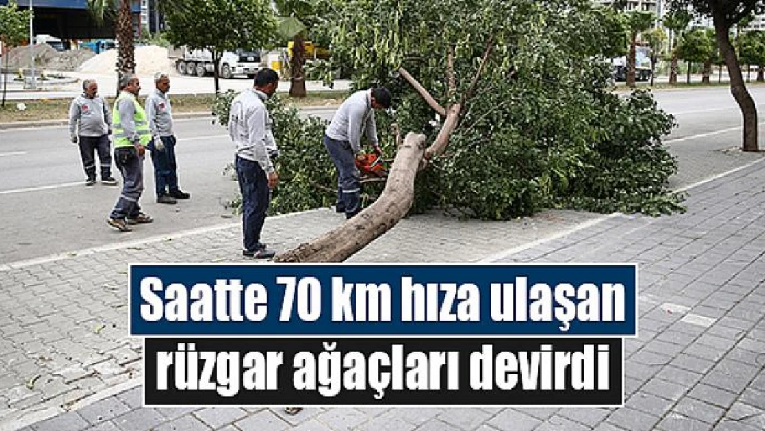 Saatte 70 km hıza ulaşan rüzgar ağaçları devirdi