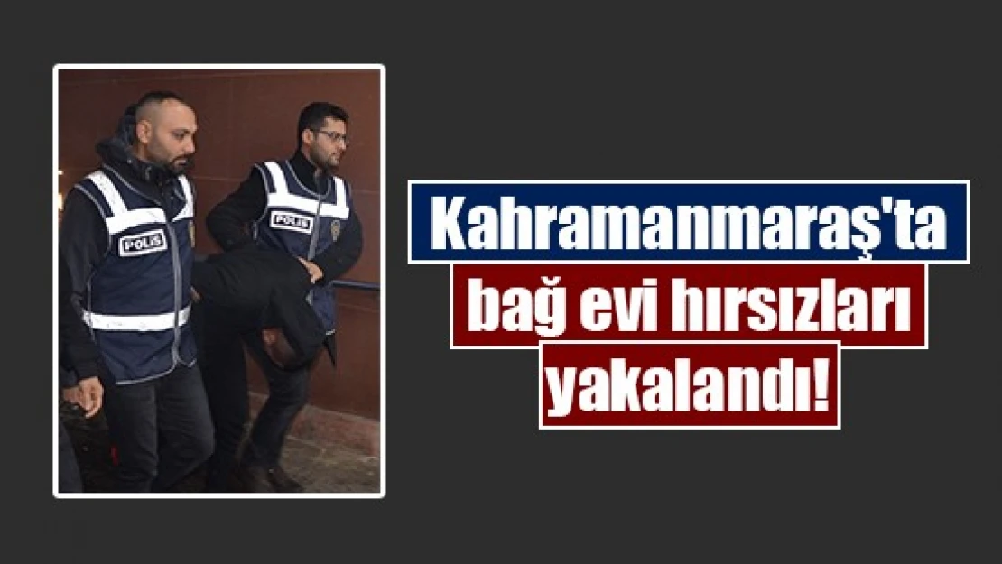 Kahramanmaraş'ta bağ evi hırsızları yakalandı!