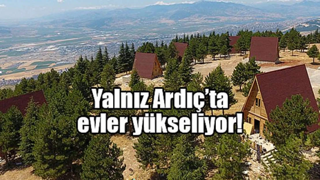 Yalnız Ardıç'ta evler yükseliyor!