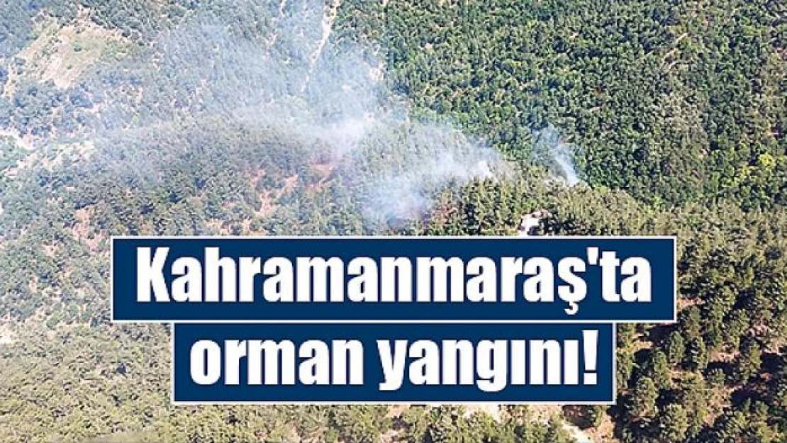 Kahramanmaraş'ta orman yangını