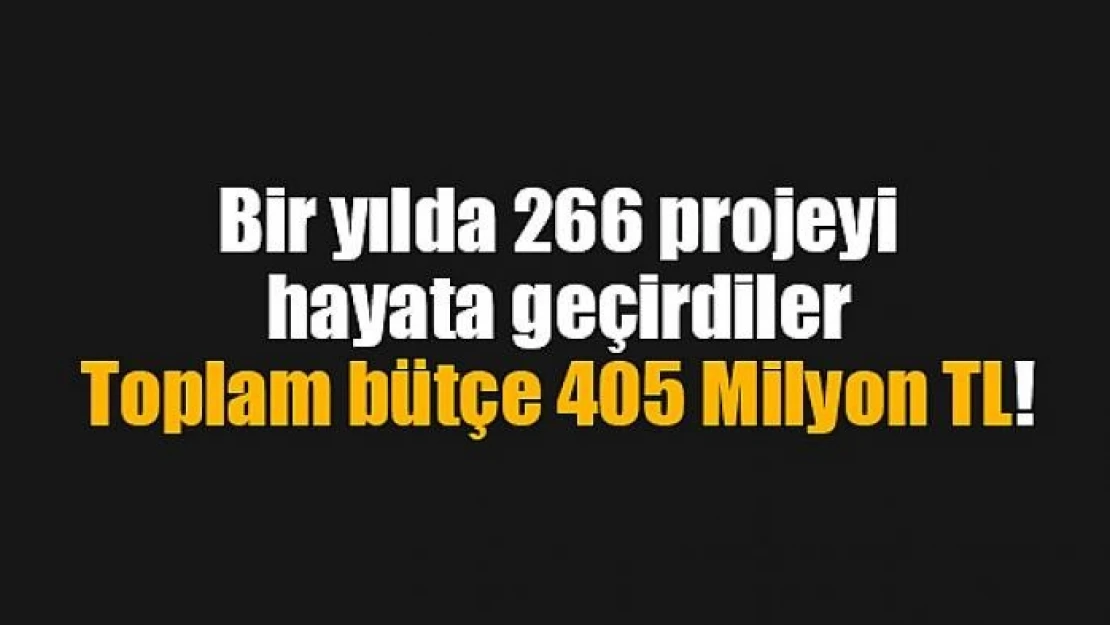 Bir yılda 266 projeyi hayata geçirdiler!