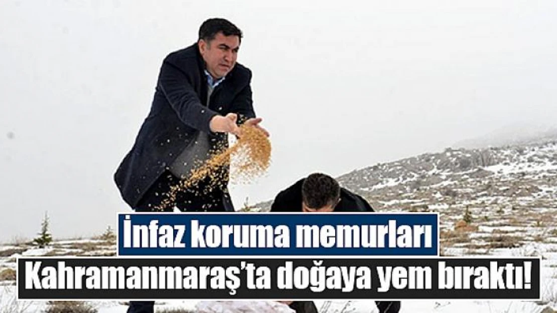 İnfaz koruma memurları Kahramanmaraş'ta doğaya yem bıraktı!