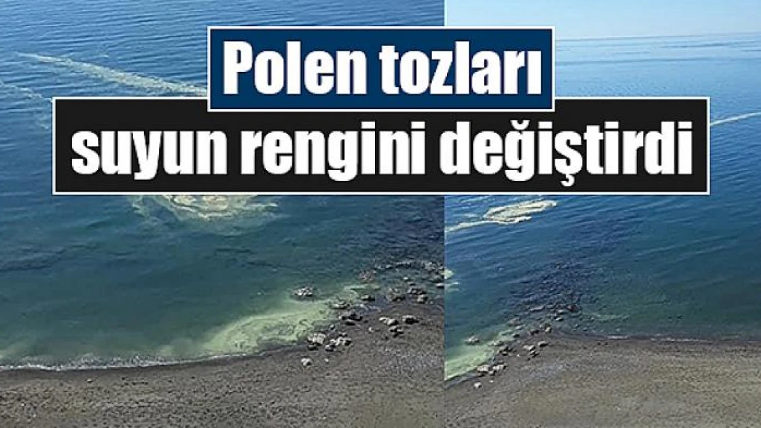 Polen tozları suyun rengini değiştirdi