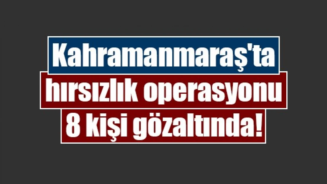 Kahramanmaraş'ta hırsızlık operasyonu: 8 kişi gözaltında!