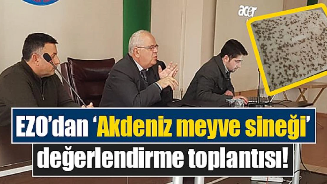 EZO'dan 'Akdeniz meyve sineği' değerlendirme toplantısı!