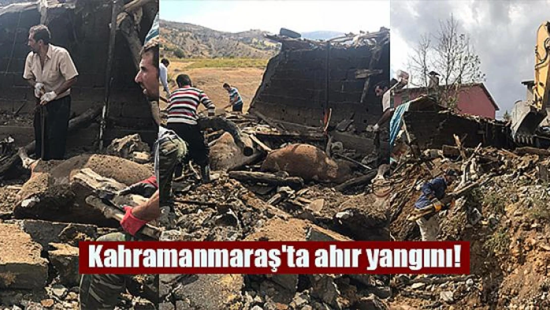 Kahramanmaraş'ta ahır yangını!