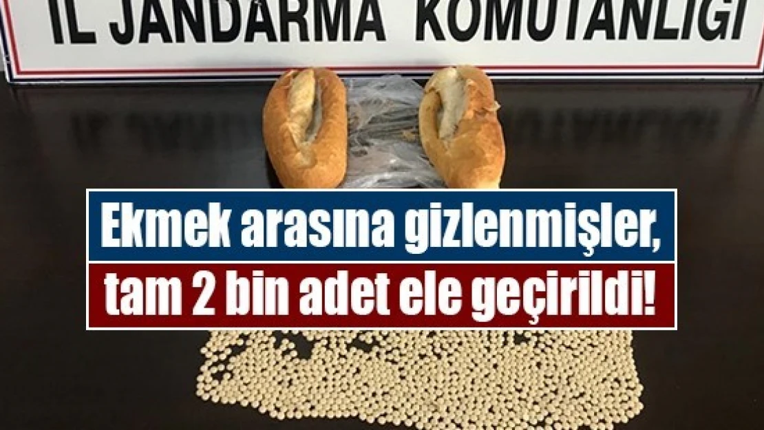 Ekmek arasına gizlenmişler, tam 2 bin adet ele geçirildi!