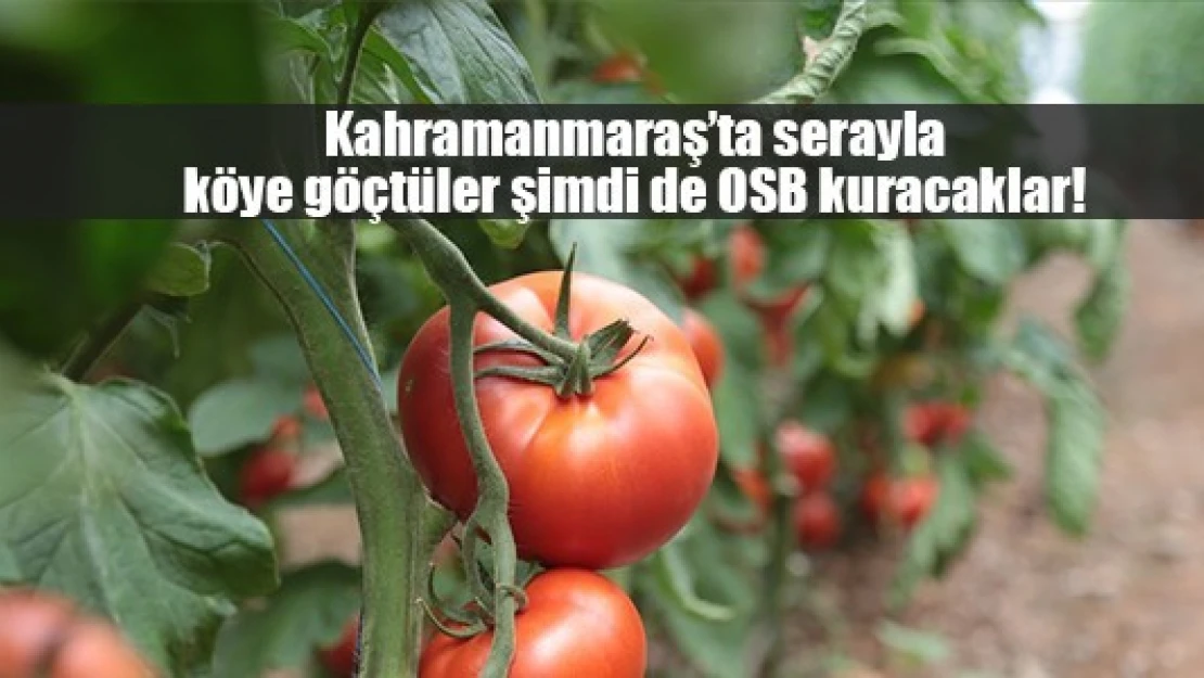 Kahramanmaraş'ta serayla köye göçtüler şimdi de OSB kuracaklar!