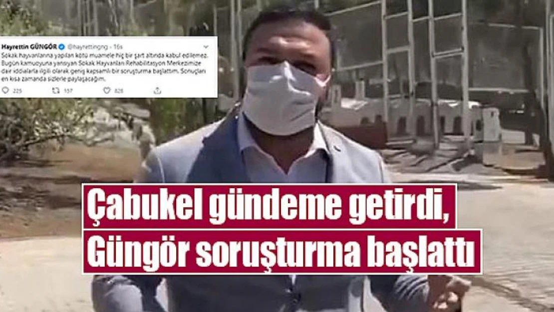 Çabukel gündeme getirdi, Güngör soruşturma başlattı