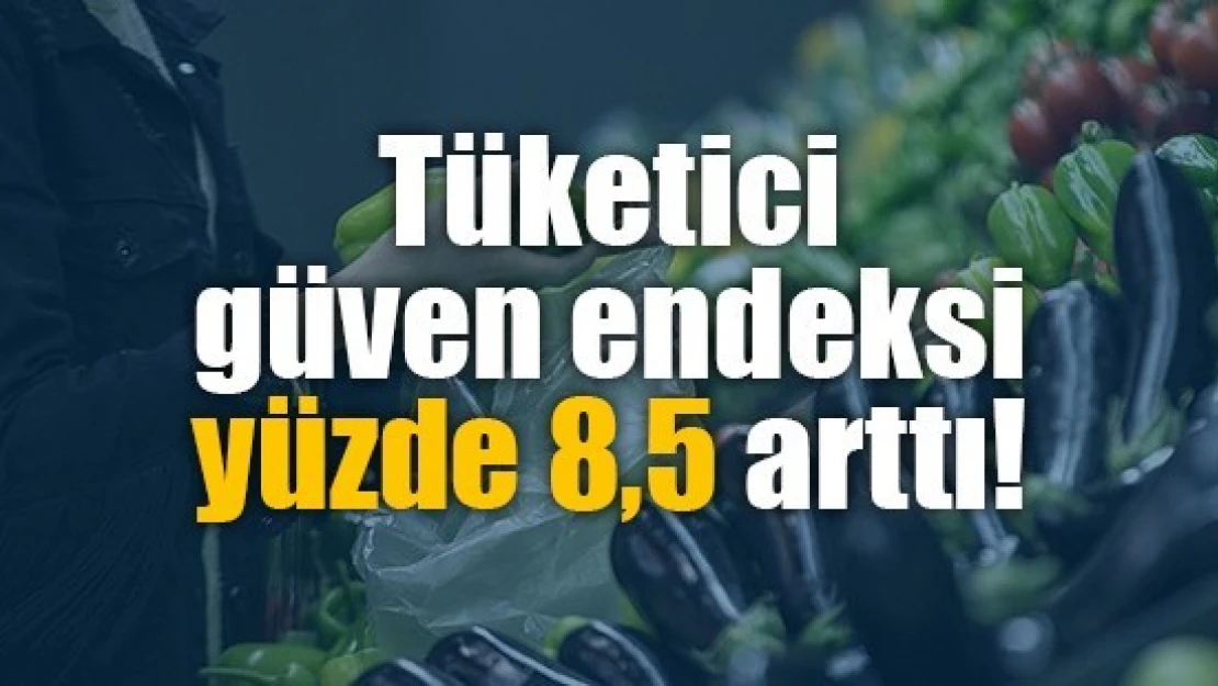 Tüketici güven endeksi yüzde 8,5 arttı