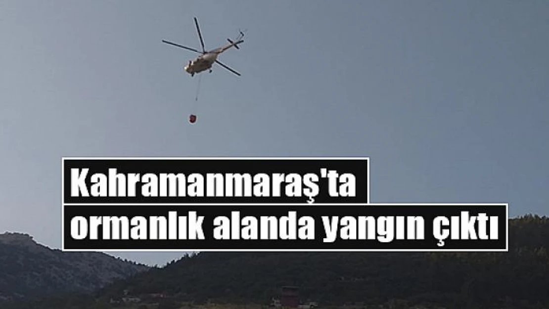 Kahramanmaraş'ta ormanlık alanda yangın çıktı