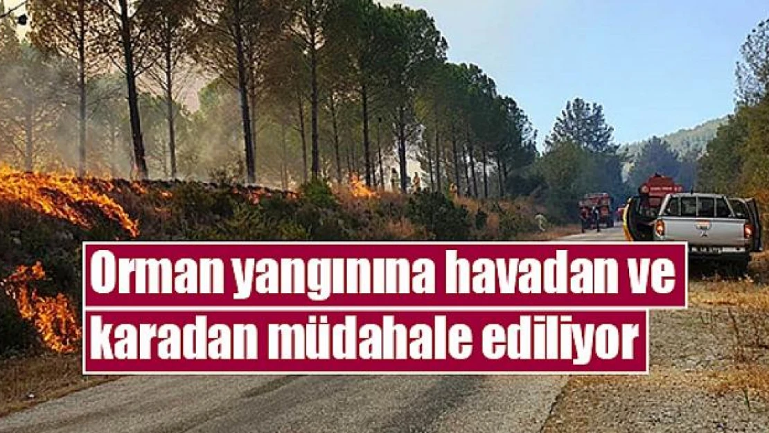 Orman yangınına havadan ve karadan müdahale ediliyor