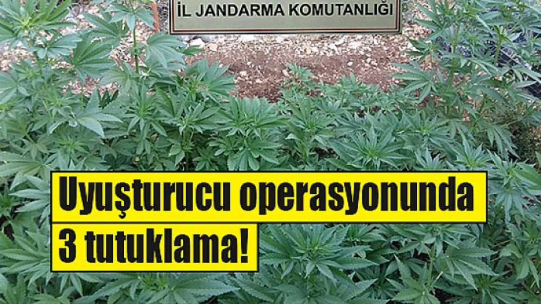 Uyuşturucu operasyonunda 3 tutuklama