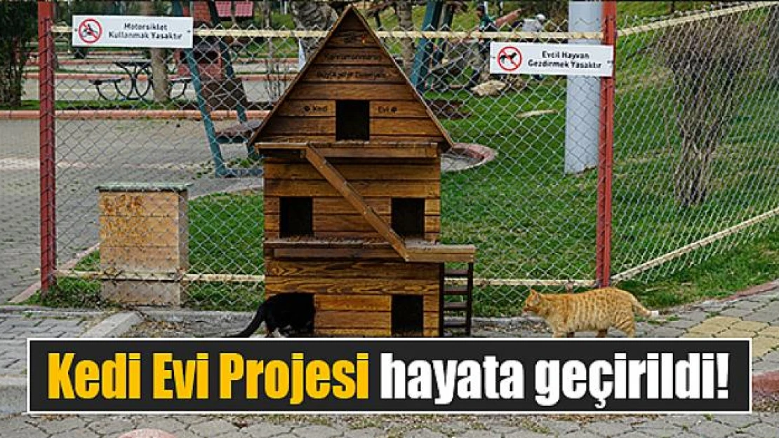 Kedi Evi Projesi hayata geçirildi!