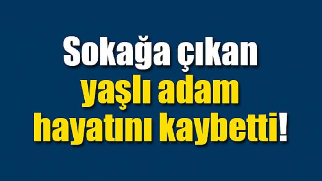 Sokağa çıkan yaşlı adam hayatını kaybetti