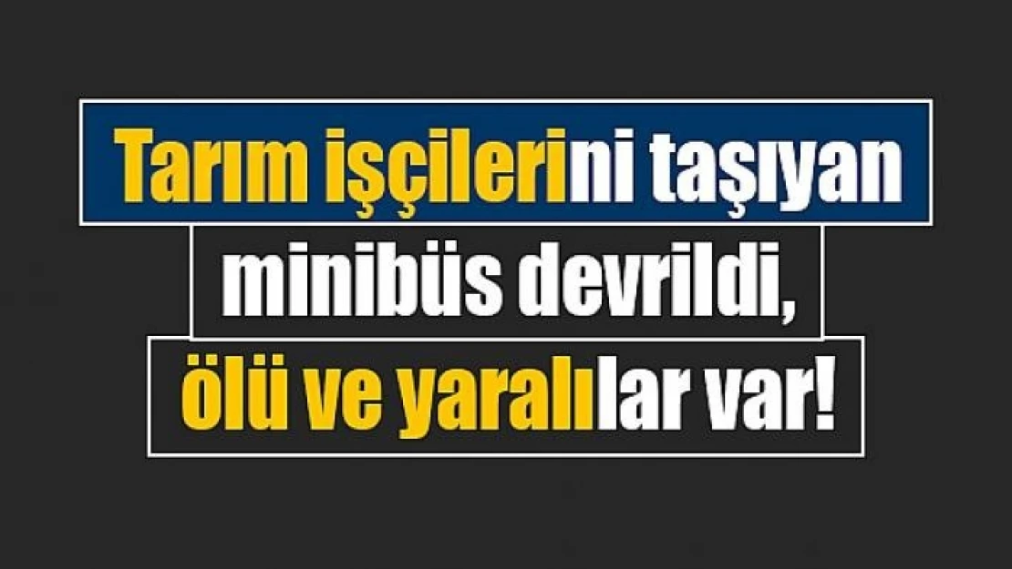 Tarım işçilerini taşıyan minibüs devrildi, ölü ve yaralılar var!