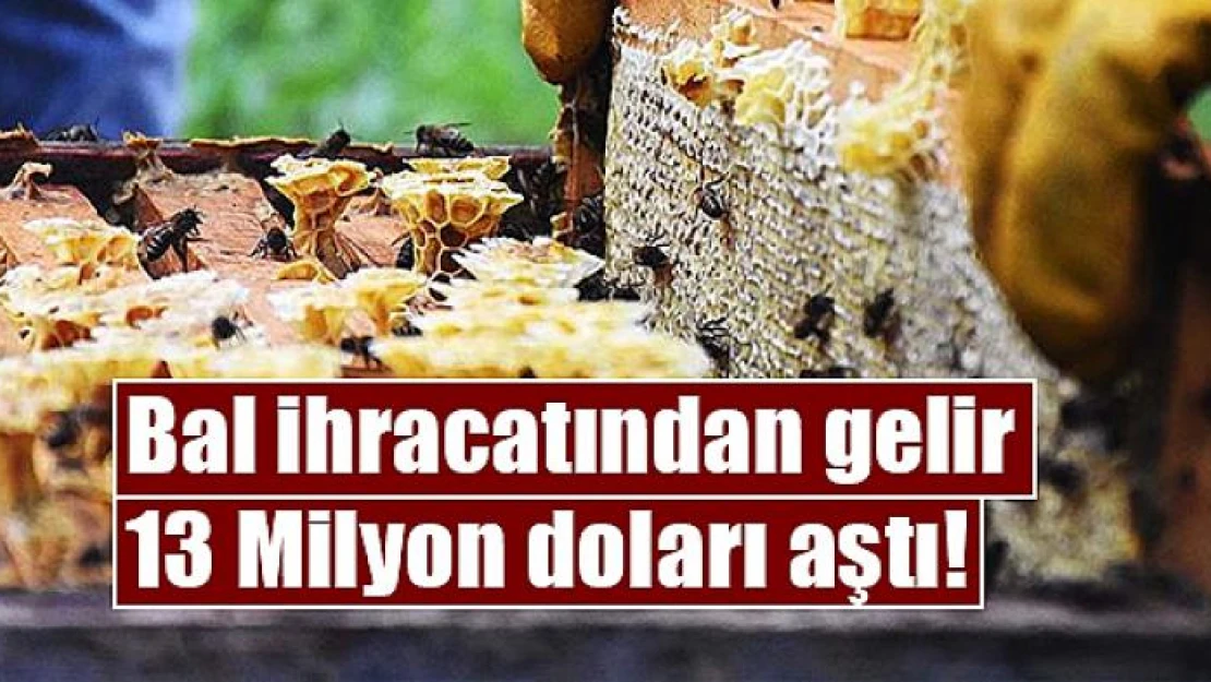 Bal ihracatından gelir 13 Milyon doları aştı