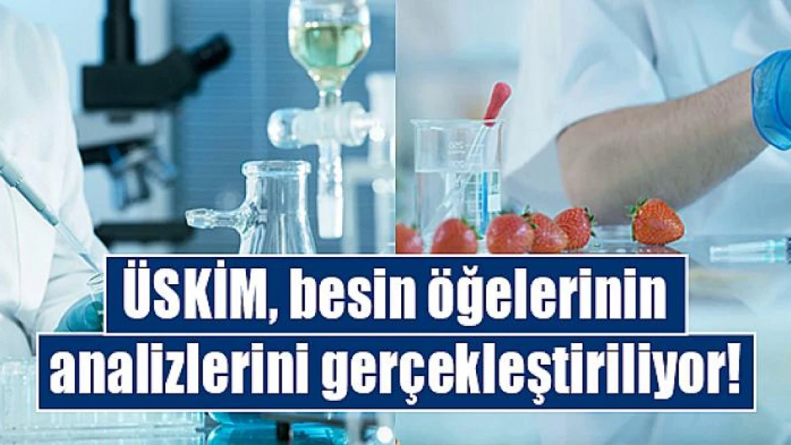 ÜSKİM, besin öğelerinin analizlerini gerçekleştiriliyor