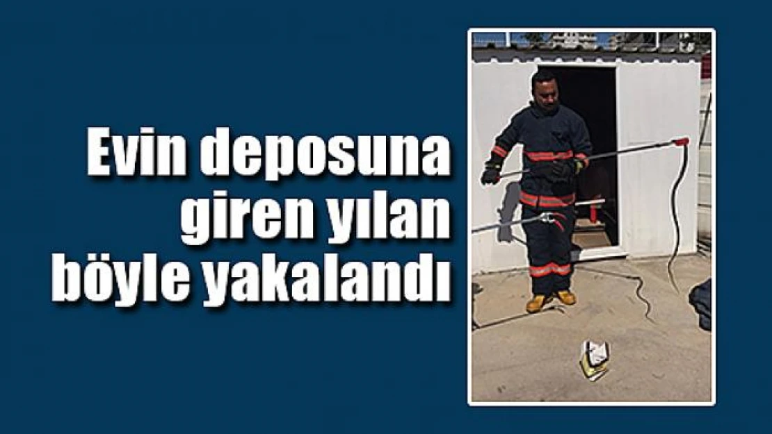 Evin deposuna giren yılan böyle yakalandı