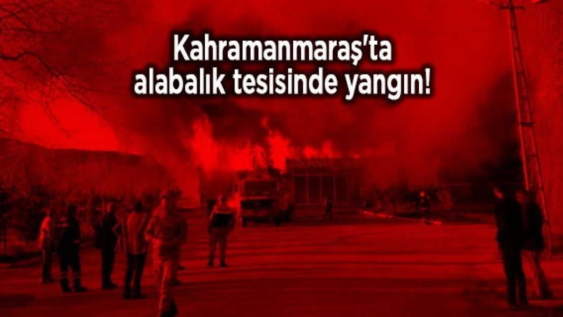 Kahramanmaraş'ta alabalık tesisinde yangın!