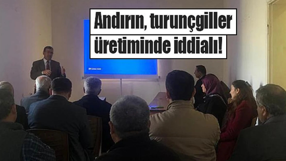 Andırın, turunçgiller üretiminde iddialı!