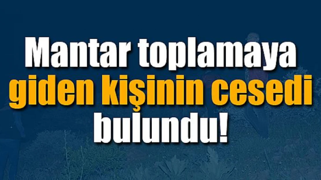 Mantar toplamaya giden kişinin cesedi bulundu