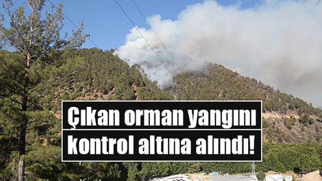 Kahramanmaraş'ta çıkan orman yangını kontrol altına alındı