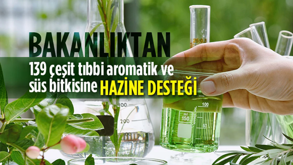 139 Çeşit tıbbi aromatik ve süs bitkisine hazine desteği