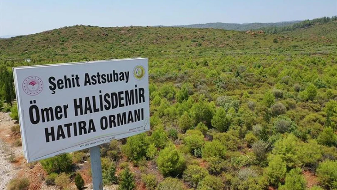 15 Temmuz şehitlerinin anısı Yeşil Vatan'da yaşatılıyor