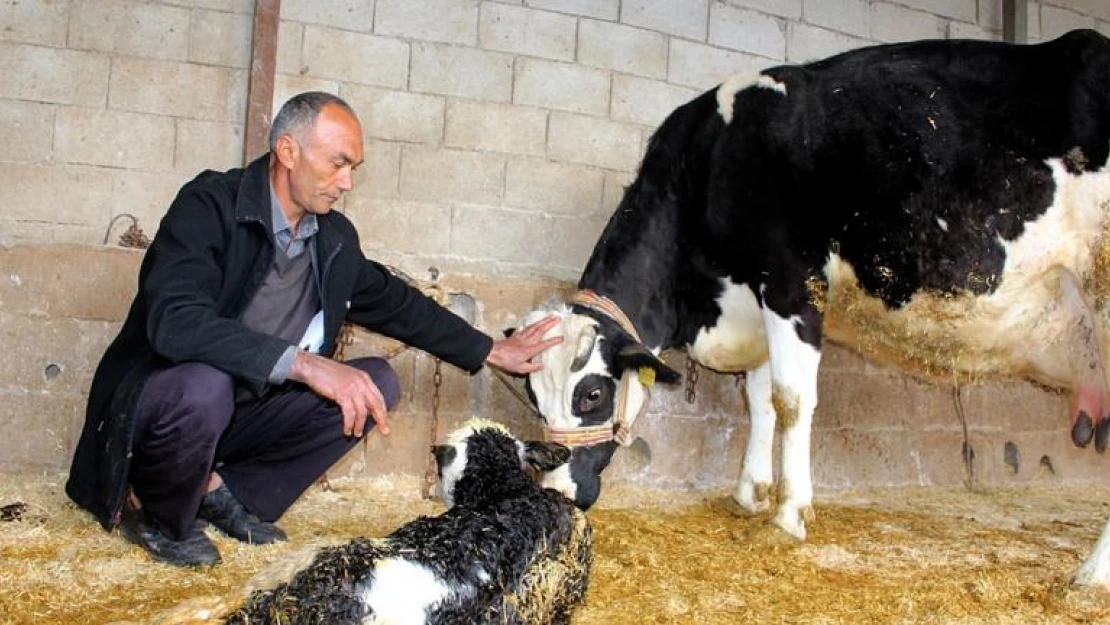 Yıldırım düşmesi sonucu bir kişi yaralandı!