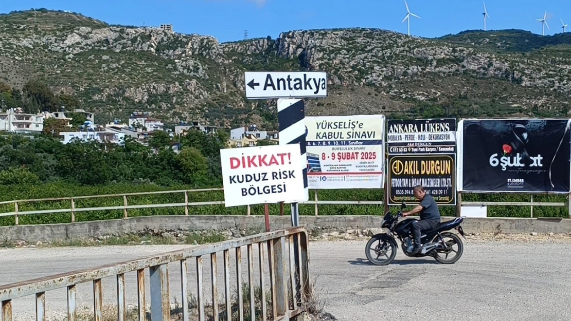 4 mahallede kuduz karantinası başladı