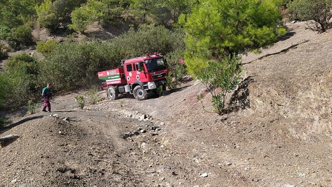 Adana'da çıkan orman yangınına müdahale ediliyor