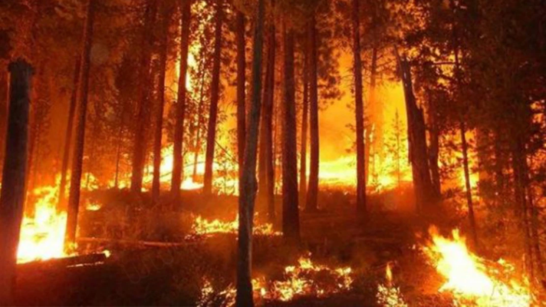 AFAD Başkanlığı genelge yayımladı: 31 Ağustos tarihine kadar yasak