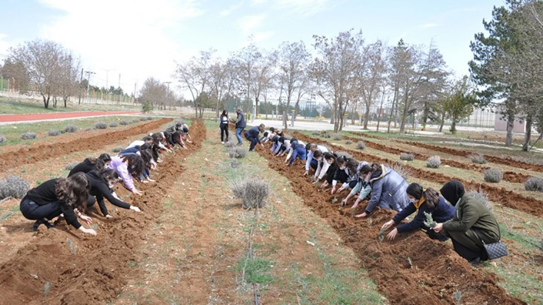 Afşin Belediye Başkanı Güven, öğrencilerle lavanta dikti