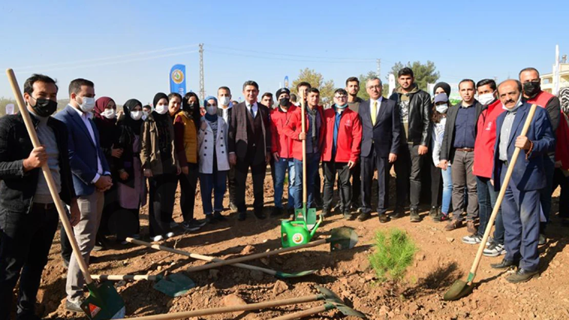 Ağaçlandırma gününde müjde Yedikuyular bölgesi ağaçlandırılacak