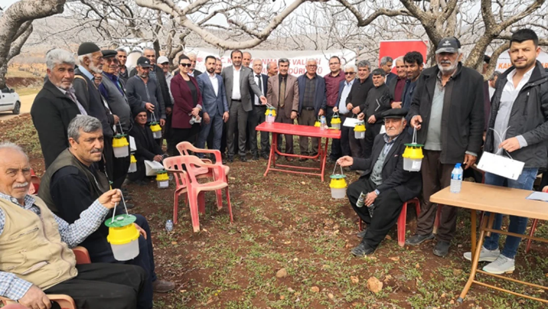 Antepfıstığı dal güvesi ile biyoteknik mücadele çalışmaları başladı