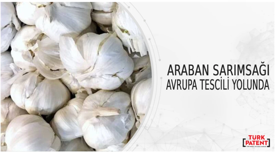 Araban sarımsağı Avrupa tescili yolunda