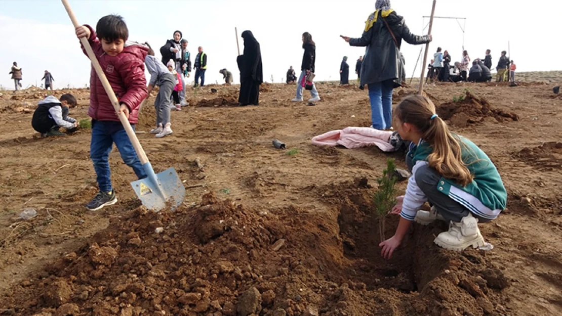 Babalarının hatırası, diktikleri fidanlarda yaşayacak