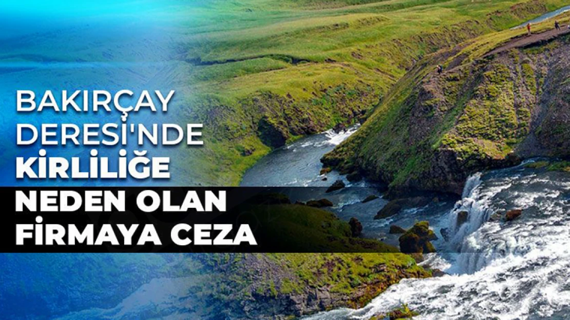 Bakırçay Deresi'nde kirliliğe neden olan firmaya ceza