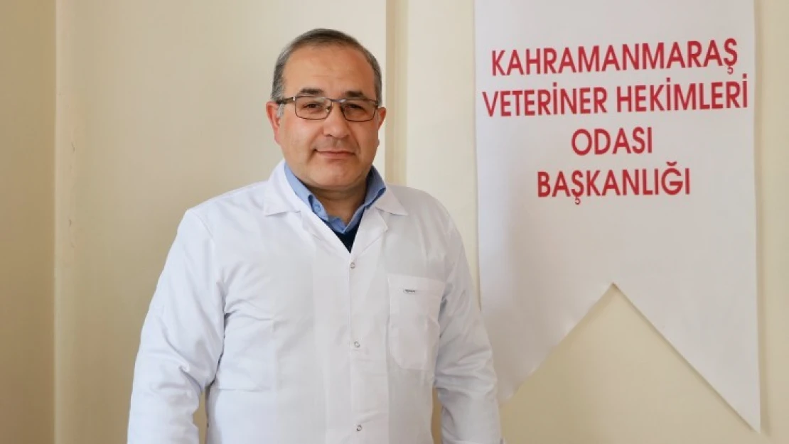 Başkan Gök: Öncelikli listeye Veteriner Hekimler dâhil edilmelidir
