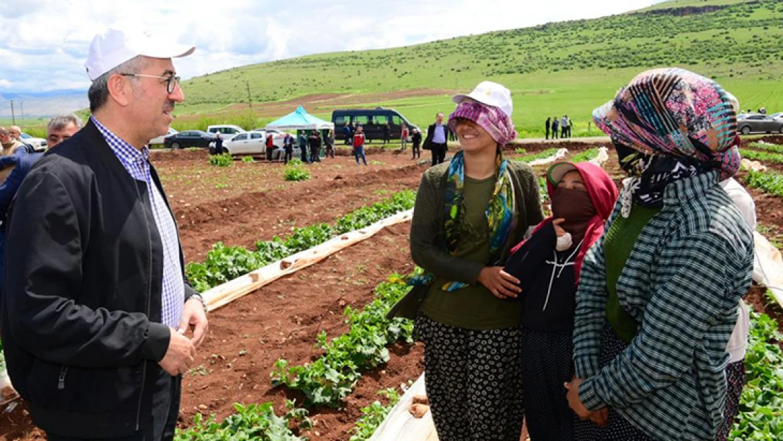 Başkan Güngör: Tarımsal üretimimizi artıracağız