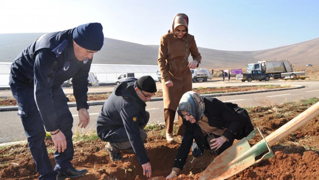 Başkan Güven'den arıcılıkta verimliliğinin artırılması için bir hamle daha