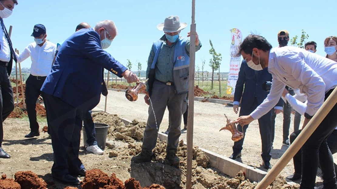 Başkan Mahçiçek, gençlerle EXPO 2023 alanında fidan dikti